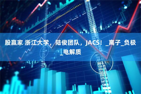 股赢家 浙江大学,陆俊团队,JACS!_离子_负极_电解质
