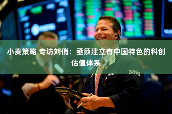 小麦策略 专访刘俏：亟须建立有中国特色的科创估值体系